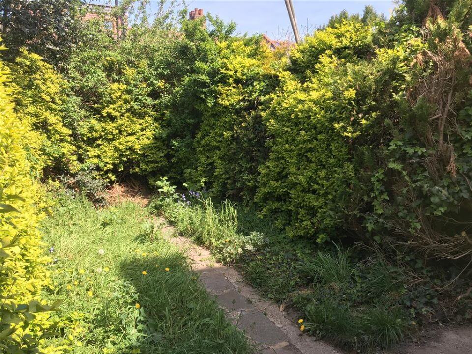 Selling a House in Newham